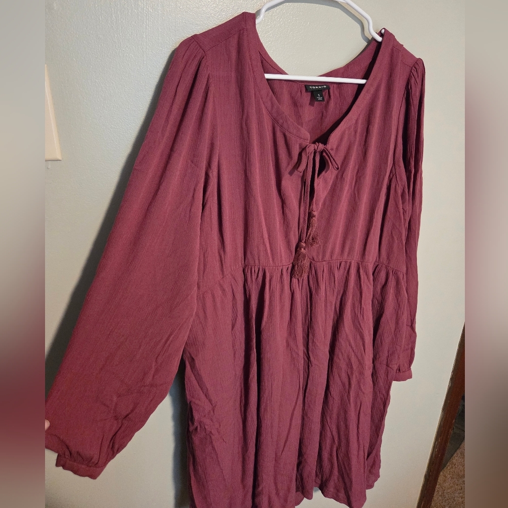 Torrid Long Sleeve Burgundy Dress